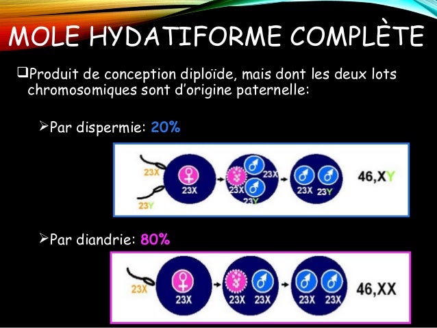 maladie trophoblastique gestationnelle